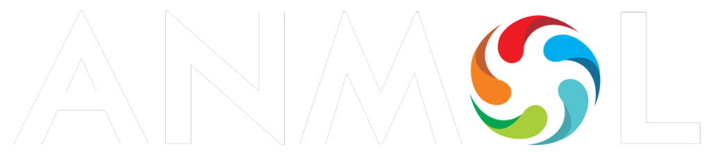 Anmol India Ltd